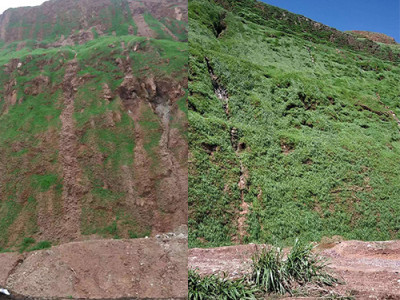 西藏山南市土壤改良和復綠過程