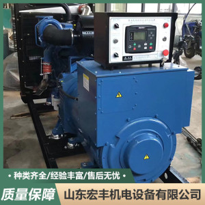 靜音發(fā)電機租賃 應(yīng)急便攜發(fā)電設(shè)備出租