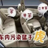 怎樣去清除車內的甲醛？