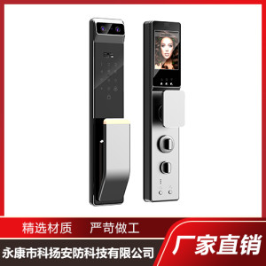 灰色精雕3D人臉識別智能鎖 指紋鎖智能貓眼電子鎖