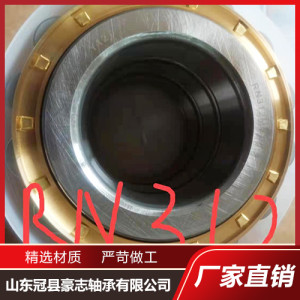 減速機整體偏心軸承 圓柱滾子軸承 軸承成品