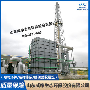 蓄熱式焚燒爐RTO 熱力焚化爐 工業垃圾焚燒設備