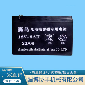 淄博12V電池