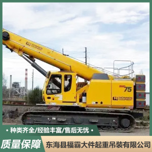 履帶吊 農用工程建筑履帶吊車 80至12000噸履帶吊