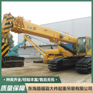 履帶吊 80至12000噸履帶吊 大型吊裝設備出租
