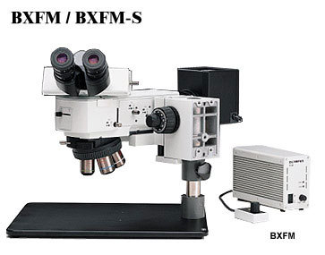 奧林巴斯bxfm小型系統顯微鏡