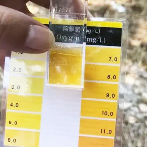 氨氮在线自动分析仪 水质蓝绿藻监测 治理湖泊污染