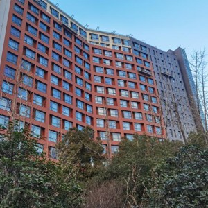 电梯维保 升降电梯维保 别墅电梯保养服务