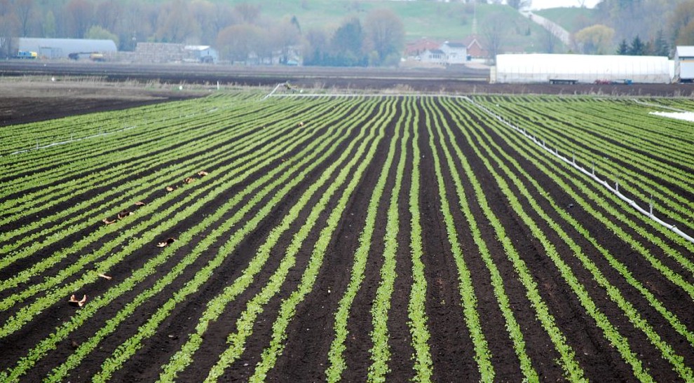 農業1.png 農業1.png