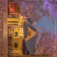 趙世華