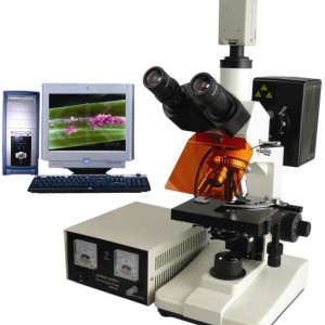 TFM-200荧光显微镜 显微镜厂家