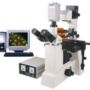 TFM-850C型研究型荧光显微镜