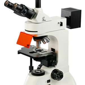 TFM-680D(LED)研究型荧光显微镜
