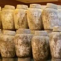 濰坊黃酒批發_濟寧黃酒批發_泰安黃酒批發【紹興黃酒】