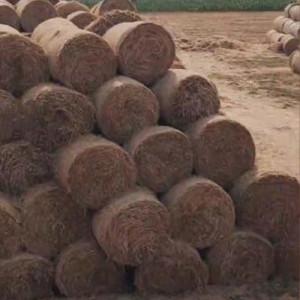養(yǎng)殖用植物飼料 畜牧養(yǎng)殖植物性飼料
