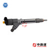 適用于 德爾福五孔噴油器廠家