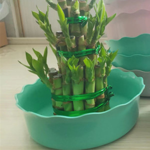 樹脂花盆廠家批發 宿遷樹脂花盆廠家批發