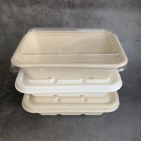 一次性可降解餐具方形户外野餐打包盒甘蔗浆餐盒