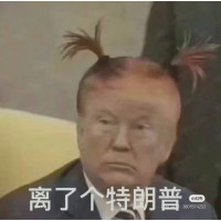 楊岸楠