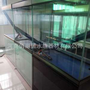 造景水草缸 辦公室客廳桌缸 超白魚缸草缸