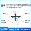 桂林蚊子治理公司 桂林蚊蟲防治公司哪家好 桂林白蟻防治公司哪家好 桂林市廣安有害生物防治