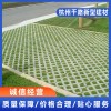 生態(tài)透水磚廠家哪家質量好 杭州仿花崗巖磚廠家哪家性價比高  浙江草坪磚價格  杭州千路新型建材