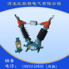 GW5戶外高壓隔離開關(guān) 戶內(nèi)外真空斷路器批發(fā) 10KV級油浸式電力變壓器 河北比歐特電氣