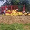 宣城改良土壤天然羊糞有機肥供應廠家 安徽專用有機肥料半成品銷售 安徽種植專用有機肥哪家好 寧國市山林有機肥廠