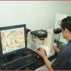 金相分析儀價格 PCB板面清潔度測試廠家 碳材料分析多少錢 深圳市衡信檢測技術