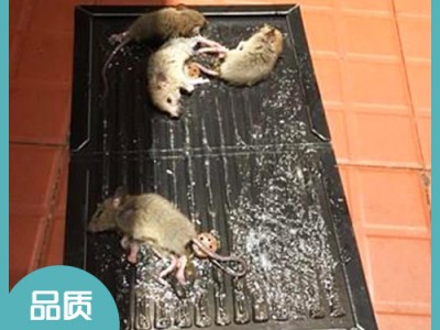江蘇家庭除四害服務(wù)公司 江蘇園林白蟻防治 江蘇除甲醛治理服務(wù) 宜興市潔康有害生物防治