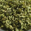 泗水元寶楓茶葉廠家 泗水元寶楓籽油神經酸廠家直銷 泗水元寶楓種植基地 泗水古圣園林