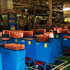 【6S目視化】工廠車間目視化生產現場環境衛生3