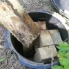 無錫滅白蟻防治公司 江蘇殺蟲公司 無錫滅蟑螂公司哪家好 無錫威霸有害生物防治有限公司