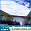 上海光纖星空頂安裝施工 上海燈光膜生產廠家 上海軟膜天花批發價格 上海恩揚裝飾材料有限公司