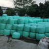 貴州青貯玉米批發價格 貴州湖羊養殖基地有哪些 貴州杜泊綿羊報價 貴州省牧源農牧科技有限責任公司
