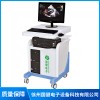 徐州影像工作站生產廠家 徐州腦電地形圖儀廠家直銷 徐州心電工作站批發價格 徐州國健電子設備科技有限公司