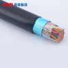HYA型銅芯通信電纜廠家批發 CXF92船用電纜生產加工 安徽防爆電纜哪家好 藍德能源科技股份有限公司