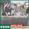 南京eve地毯上門(mén)回收服務(wù) 南京CPP薄膜回收公司 南京地毯片材高價(jià)回收 南京旭升再生資源有限公司