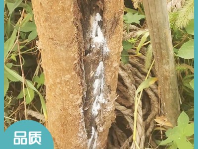無錫園林白蟻防治電話 無錫除四害公司收費(fèi)標(biāo)準(zhǔn) 宜興甲醛治理多少錢 宜興市潔康有害生物防治有限公司
