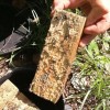 無錫白蟻檢測哪家好  無錫威霸有害生物防治有限公司  無錫防白蟻檢測公司