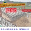 浙江寧波5-500噸龍門吊出租 高效起重機
