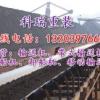 云南大理皮帶輸送機廠家 獨一無二的服務團隊