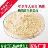專業中老年蛋白粉植物易吸收 OEM貼牌代加工廠家